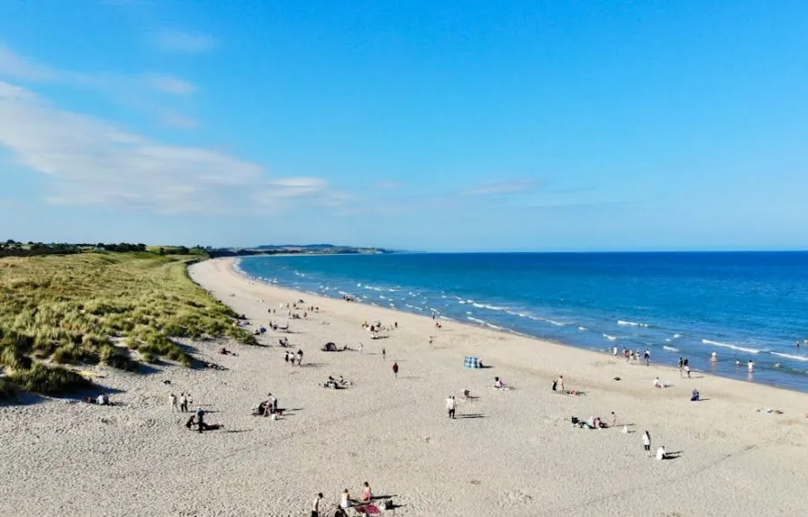 Discover Your Ideal Beach in Charleston Today