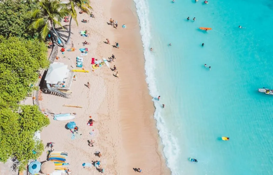 Discover the Best Beach in Miami for Your Perfect Day