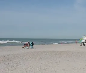 Uncover Sarasota’s Hidden Beach Paradise Today Uncover Sarasota’s Hidden Beach Paradise Today