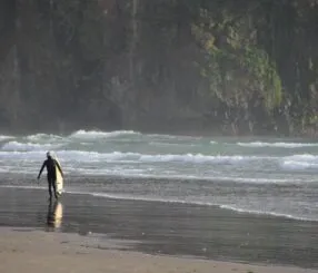 Discover the Hidden Gems of the Beach in Seaside Discover the Hidden Gems of the Beach in Seaside